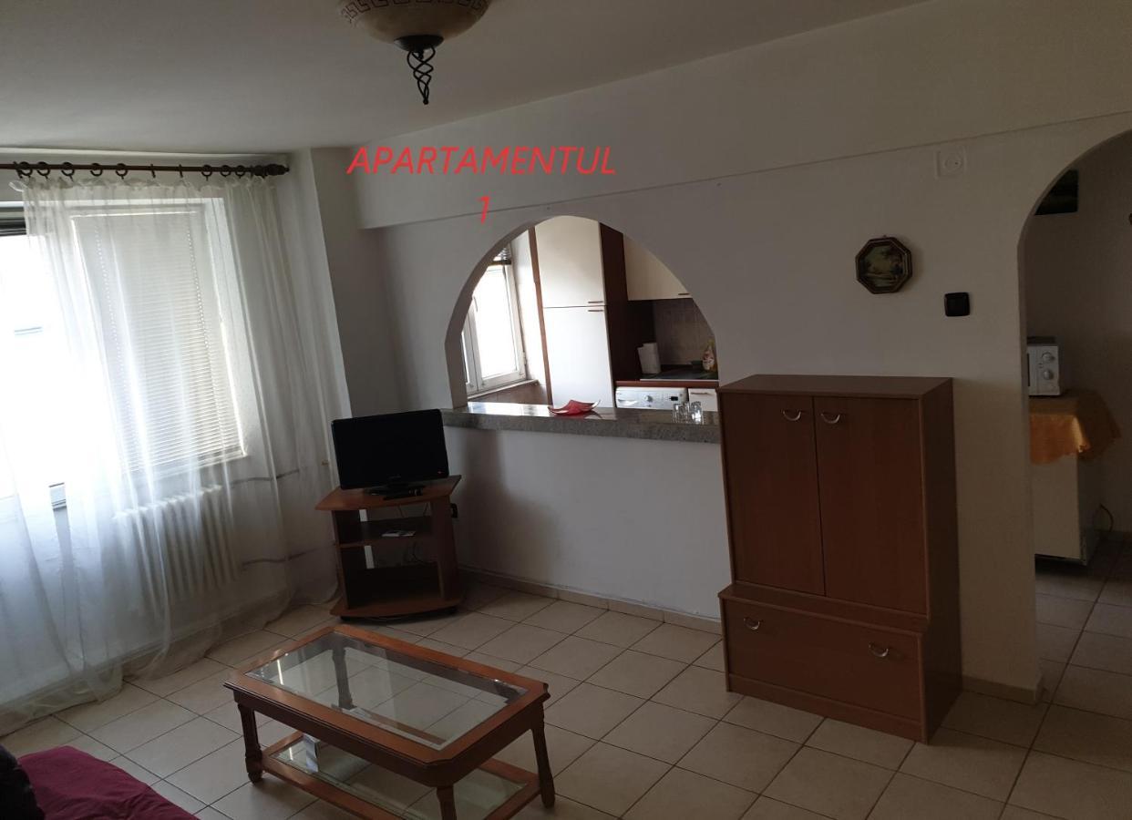 Apartament Cu 2 Camere,Ultracentral In Arad Exteriér fotografie