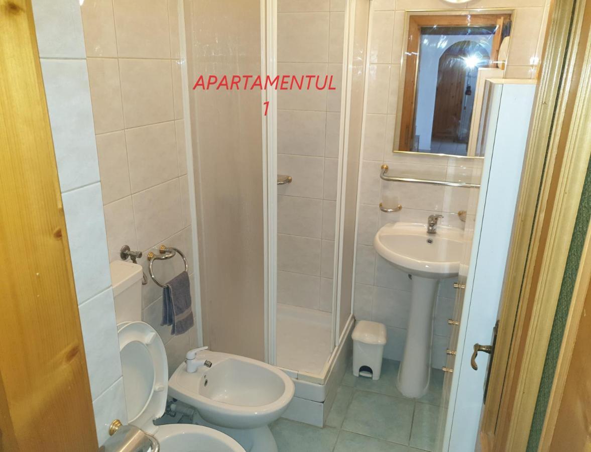 Apartament Cu 2 Camere,Ultracentral In Arad Exteriér fotografie