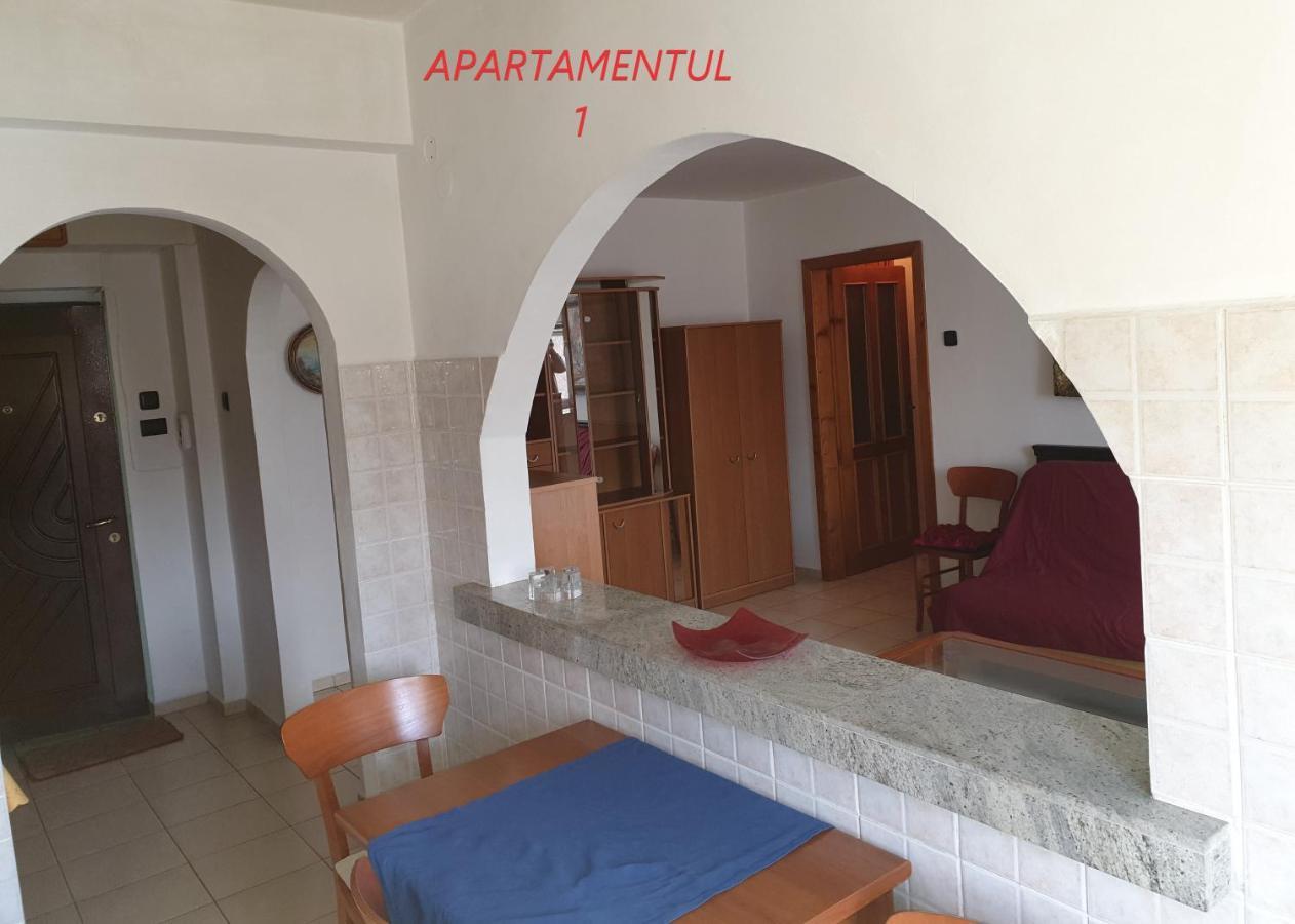 Apartament Cu 2 Camere,Ultracentral In Arad Exteriér fotografie