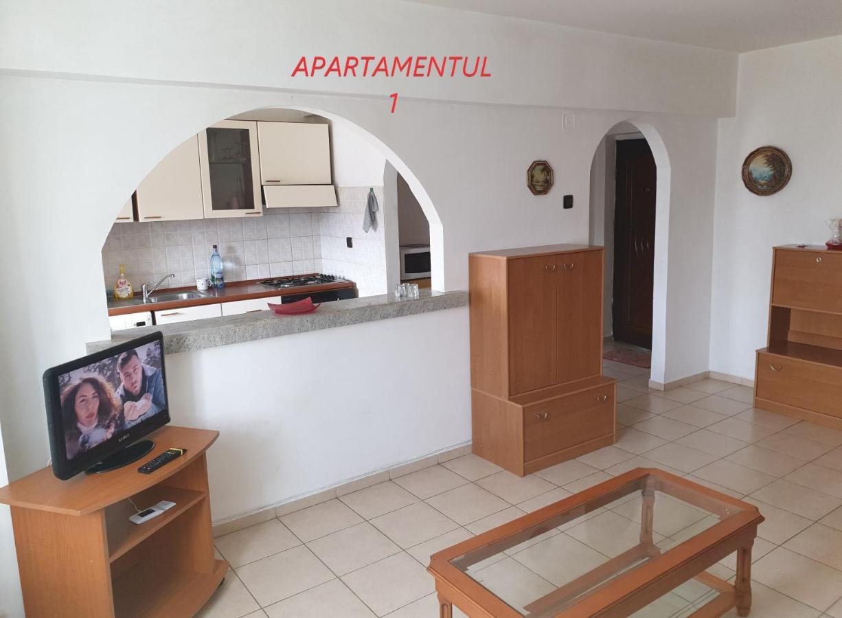 Apartament Cu 2 Camere,Ultracentral In Arad Exteriér fotografie
